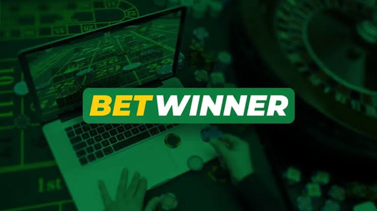 Comprehensive BetWinner Review Insights into Betting Excellence