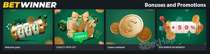 Comprehensive BetWinner Review Insights into Betting Excellence